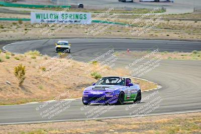 media/May-04-2025-Lucky Dog Racing (Sun) [[21629467aa]]/Turn 4 (10-1045am)/Turn 3/
